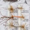 Dragon Dry Daddies Flies 2 Dragon Dry Daddies Flies -Quality Fishing Equipment Store k0172