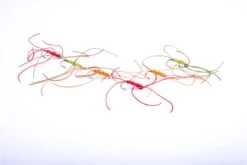 Flash Attack CRAIG'S Worm Flies