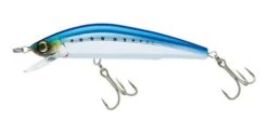 Yo-Zuri Mag Minnow 120mm 17g - R729-HIW