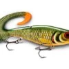 Rapala X-Rap Otus 25cm 90g-Scaled Roach 2 Rapala X-Rap Otus 25cm 90g-Scaled Roach -Quality Fishing Equipment Store x rap otus rapala lures bsr hero green